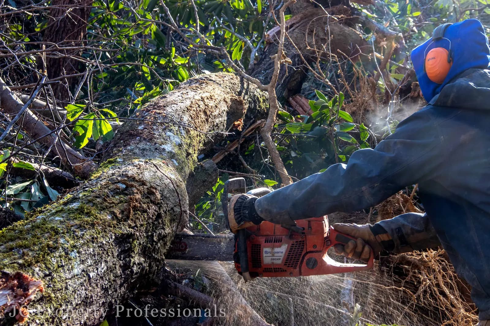 Chainsaw work